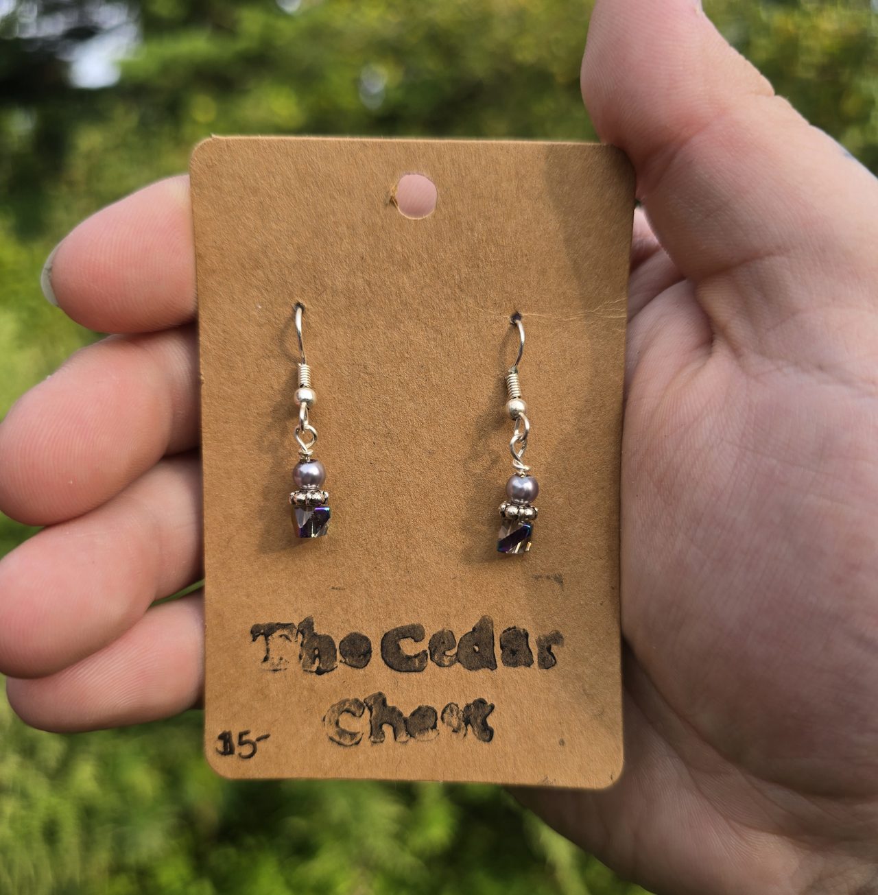 Small Silver and Purple Earrings