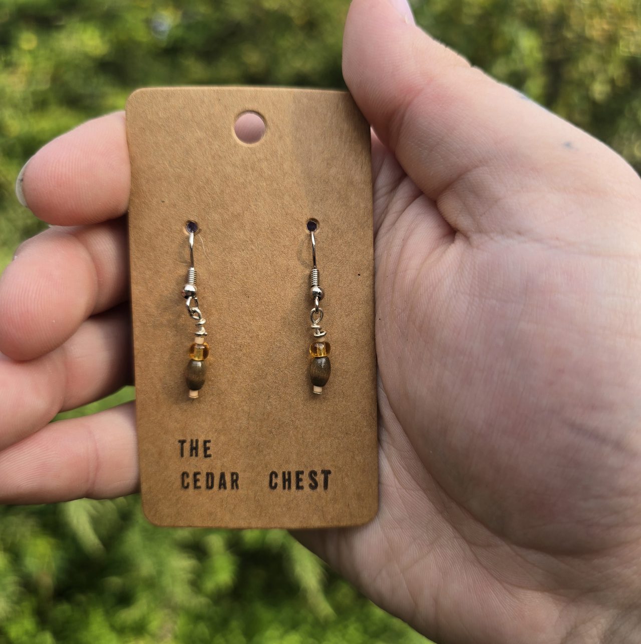 Small Brown Earrings