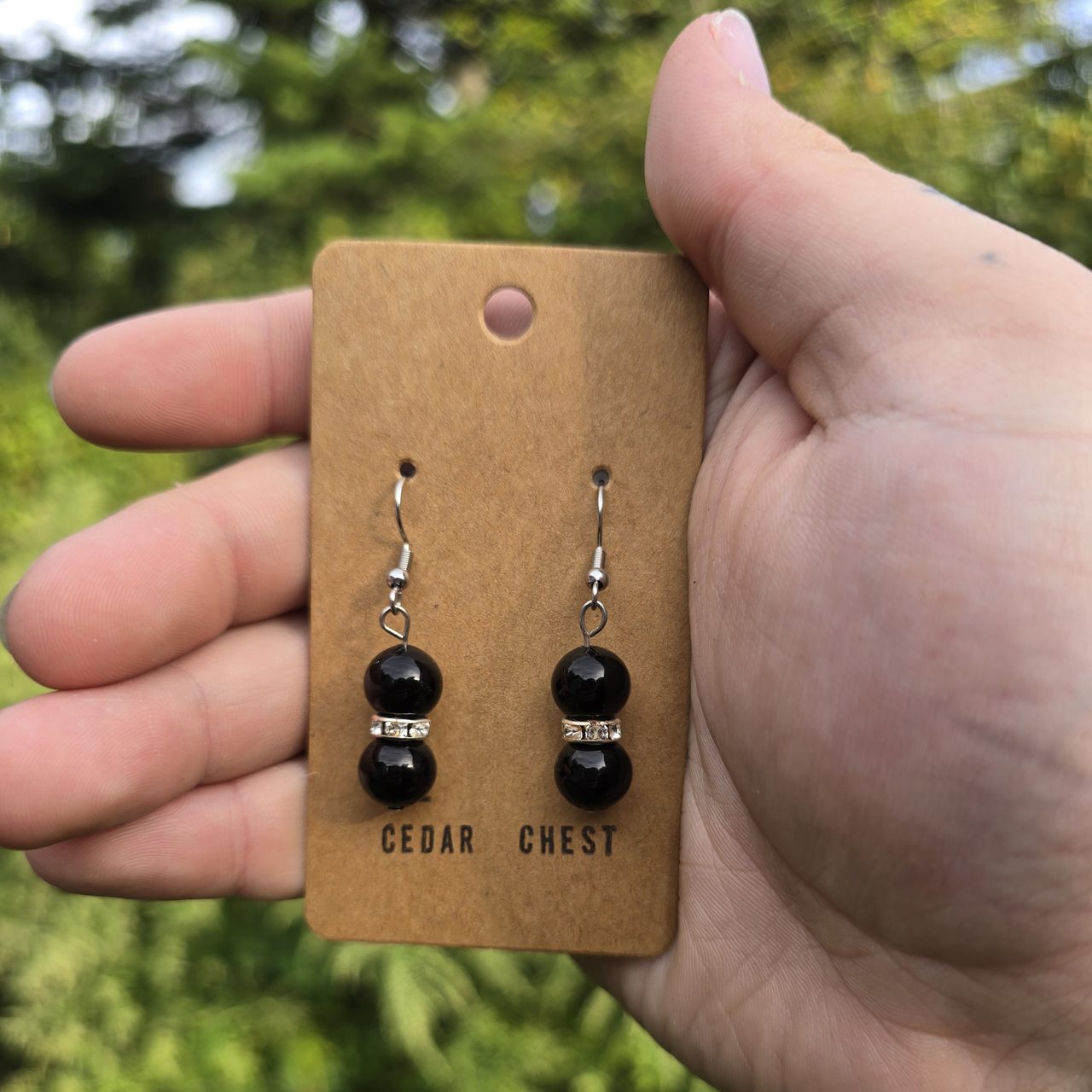 Elegant Black and Silver Earrings