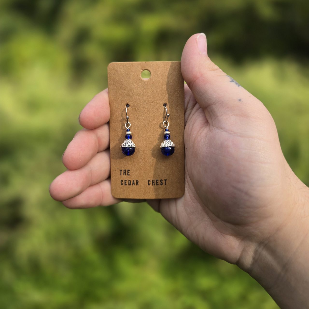 Blue and Silver Earrings