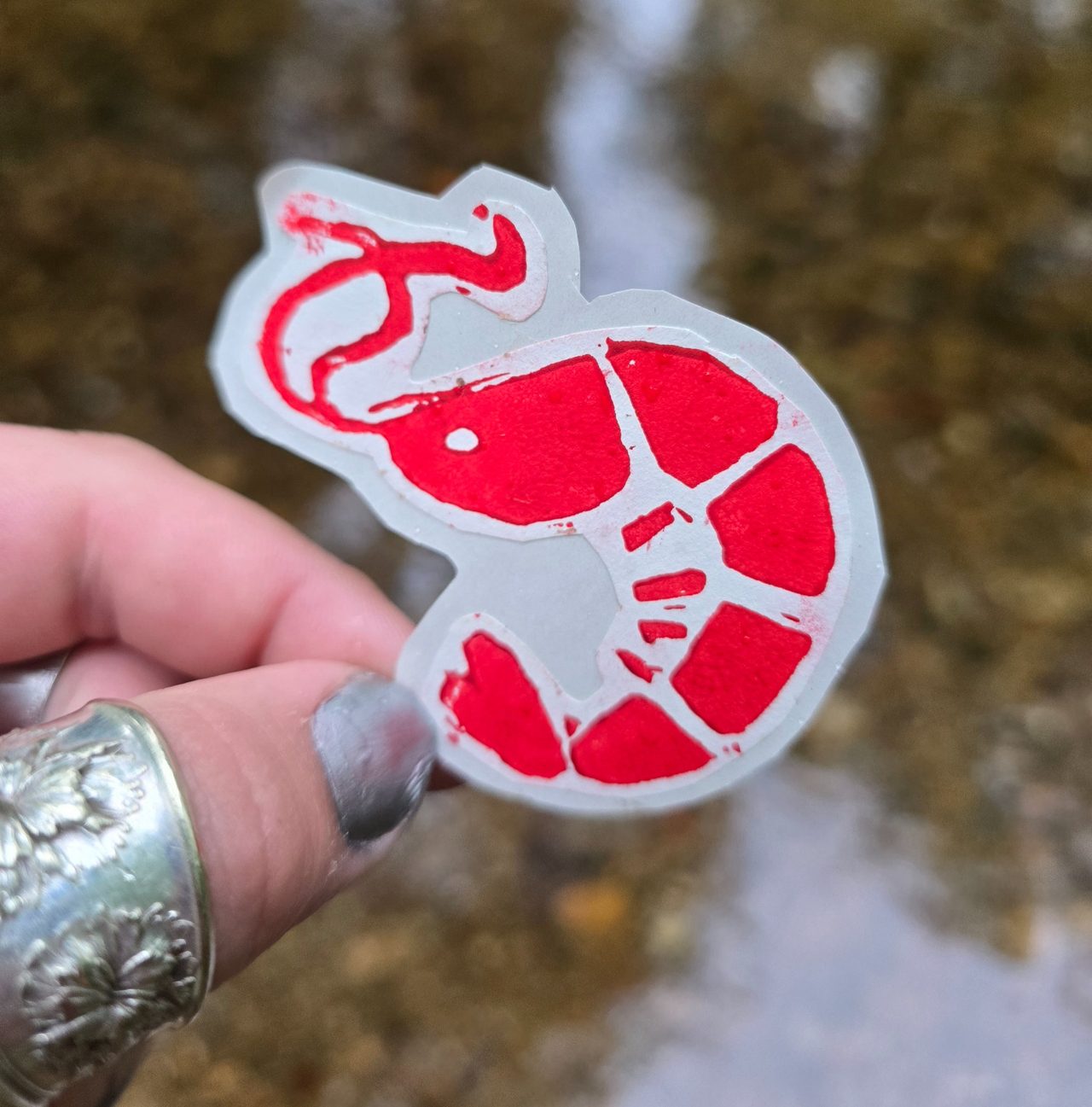 Shrimp Sticker