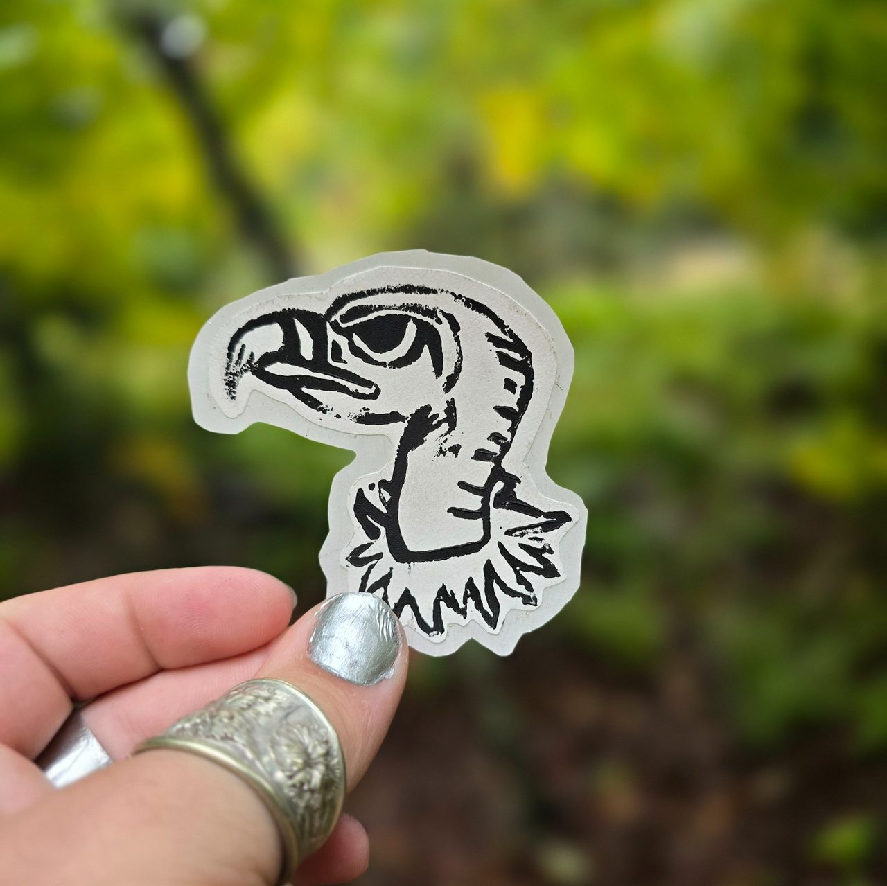 Black Vulture Sticker