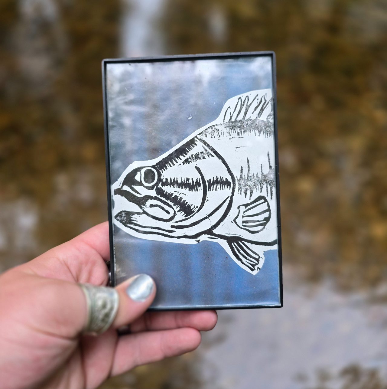 Framed Bass Print with River Background